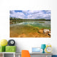 Everglades National Park USA Wall Mural