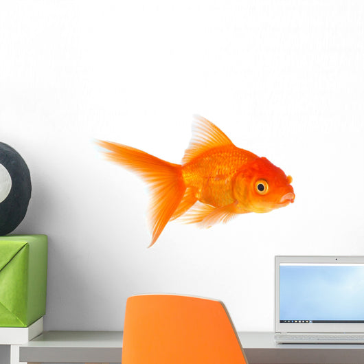 Goldfish Wall Decal
