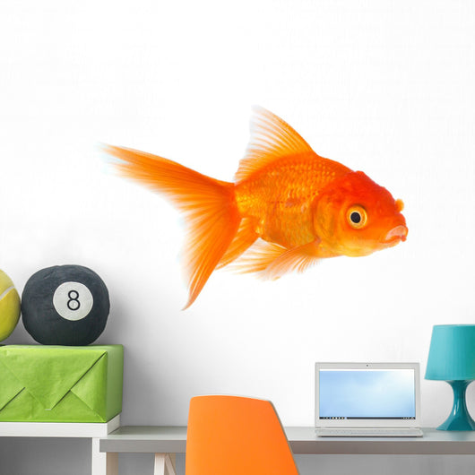 Goldfish Wall Decal