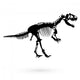 Skeleton Dinosaur Raster Wall Decal
