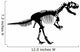Skeleton Dinosaur Raster Wall Decal