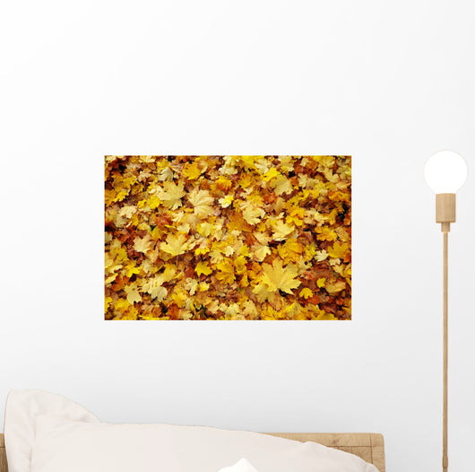 Autumn Leaves Wall Decal