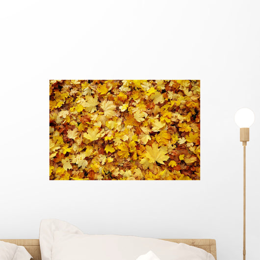 Autumn Leaves Wall Decal