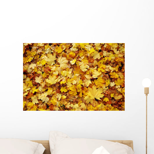 Autumn Leaves Wall Decal