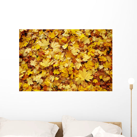 Autumn Leaves Wall Decal
