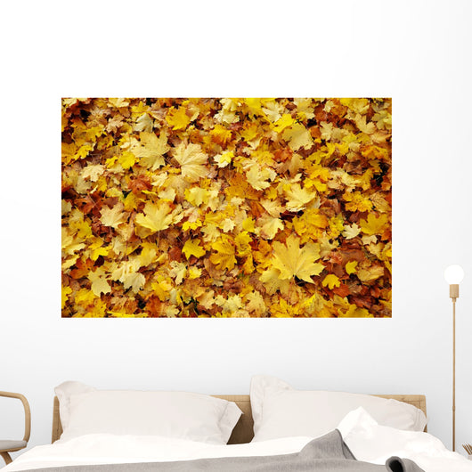 Autumn Leaves Wall Decal