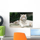 White Tiger Wall Mural