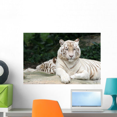 White Tiger Wall Decal shown on a wall