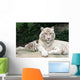 White Tiger Wall Mural