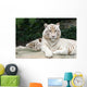 White Tiger Wall Mural