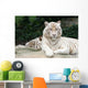 White Tiger Wall Mural