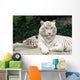 White Tiger Wall Mural