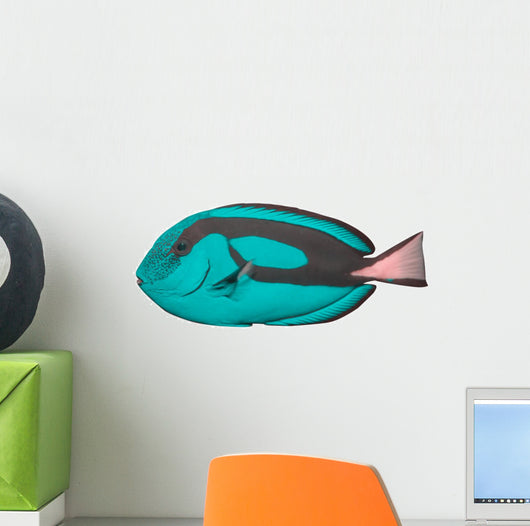 Tropical Reef Fish Wall Decal