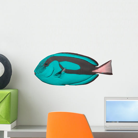 Tropical Reef Fish Wall Decal