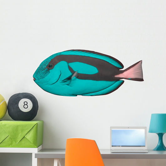 Tropical Reef Fish Wall Decal