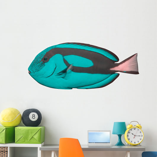 Tropical Reef Fish Wall Decal