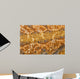Bearded Dragon - Pogona Vitticeps Detail Of Skin Wall Decal