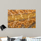 Bearded dragon - Pogona vitticeps detail of skin Wall Mural