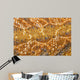 Bearded dragon - Pogona vitticeps detail of skin Wall Mural