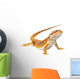 Bearded Dragon Pogona Vitticeps Wall Decal