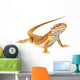 Bearded Dragon Pogona Vitticeps Wall Decal
