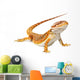Bearded Dragon Pogona Vitticeps Wall Decal