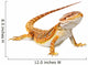 Bearded Dragon Pogona Vitticeps Wall Decal