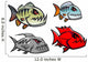Cartoon colorful pirhana fish characters Wall Decal