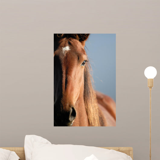 Horse Portrait Wall Decal