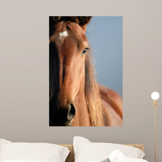 Horse Portrait Wall Decal