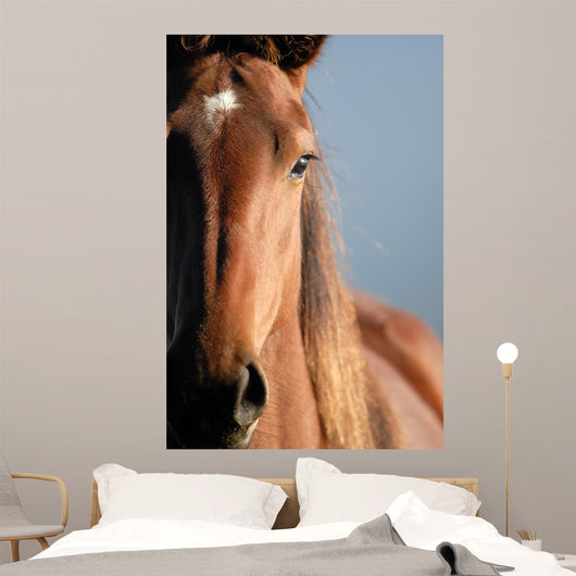 Horse Portrait Wall Decal