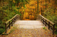 Bridge In Autumn Forest Wall Decal