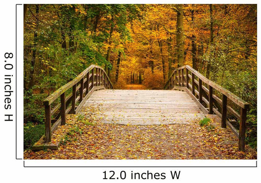 Bridge in autumn forest Wall Mural