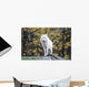 Arctic White Wolf Wall Mural