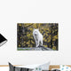 Arctic White Wolf Wall Mural