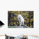 Arctic White Wolf Wall Mural