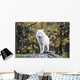 Arctic White Wolf Wall Mural