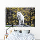 Arctic White Wolf Wall Mural