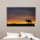 Camel at sunset Wall Mural