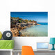 Formentera island Wall Mural