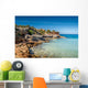 Formentera island Wall Mural