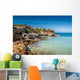 Formentera island Wall Mural