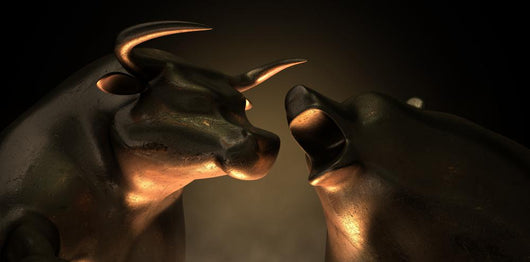 Bull And Bear Market Statues Wall Decal