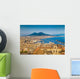 City Naples with Mt Wall Decal