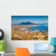 City Naples with Mt Wall Decal