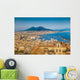 City Naples with Mt Wall Decal