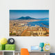 City Naples with Mt Wall Decal