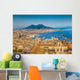 City Naples with Mt Wall Decal