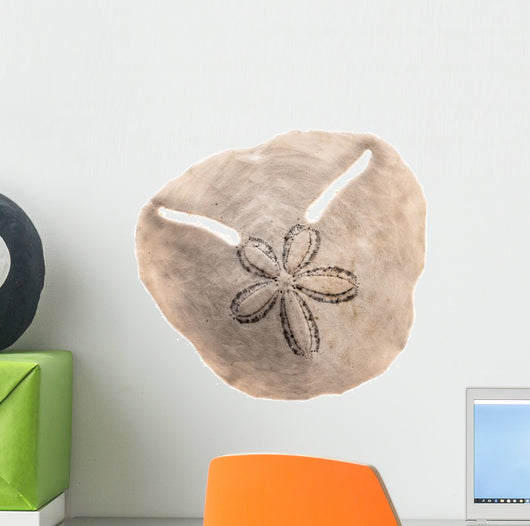 Irregular Sea Urchin White Wall Decal