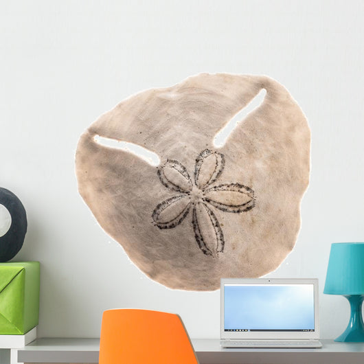 Irregular Sea Urchin White Wall Decal